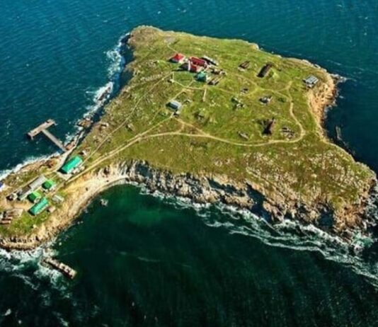 Остров Змеиный: история, география и почему он стратегически важен для Украины?