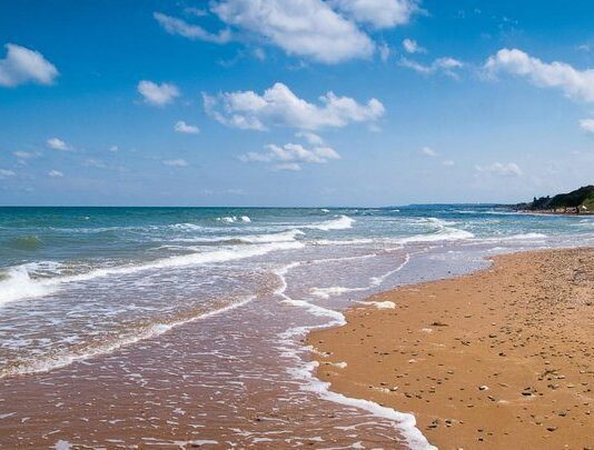 На грани экологической катастрофы? В Одессе массово гибнут дельфины