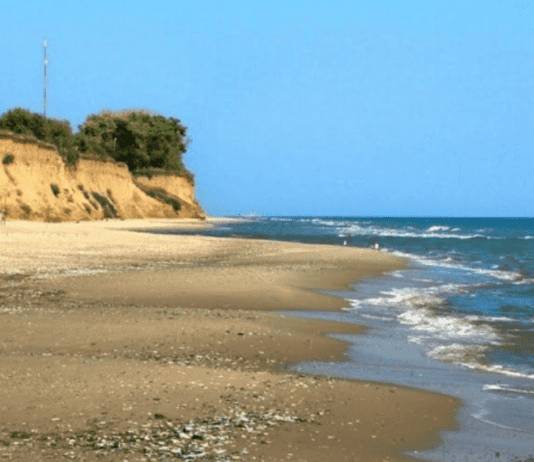 Одесские ученые и их роль в охране окружающей среды