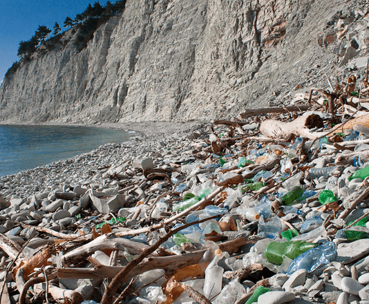 Международный проект PONTOS и его одесская территория деятельности