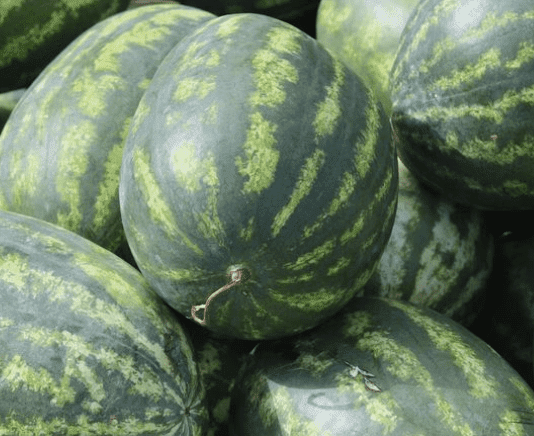 Победы Одесчины на полях сражений за урожай