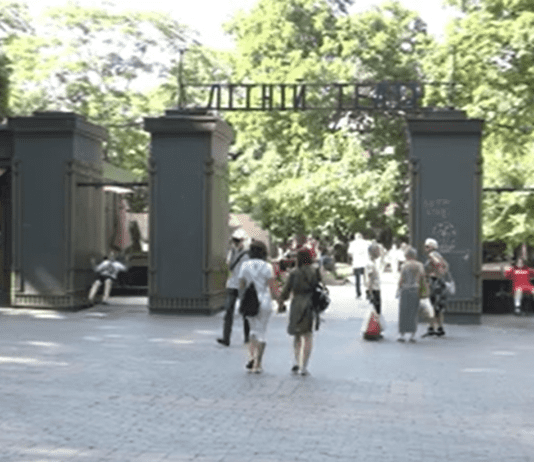 Туристическое лето Одессы в условиях войны