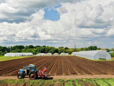 Виталий Билан и его эко-ферма