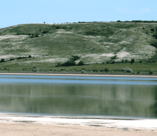 История появления Физико-химического института защиты окружающей среды и человека