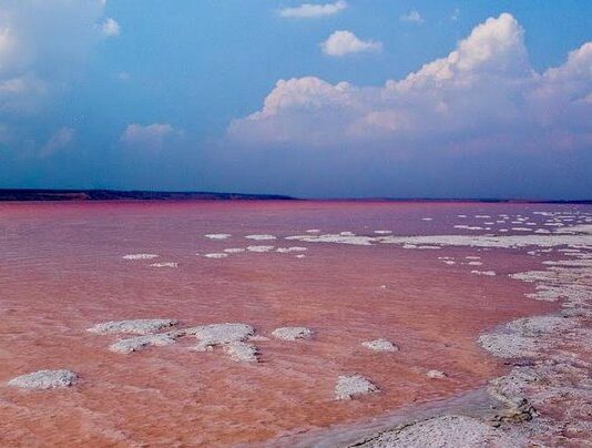 О возможностях добычи соли в Одесском регионе