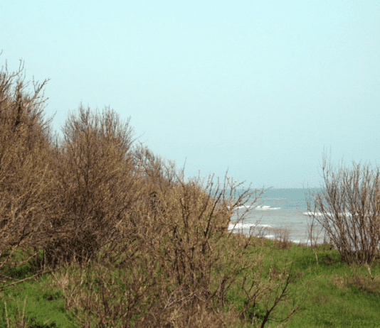 Исследование почв, которые осуществляли одесские ученые