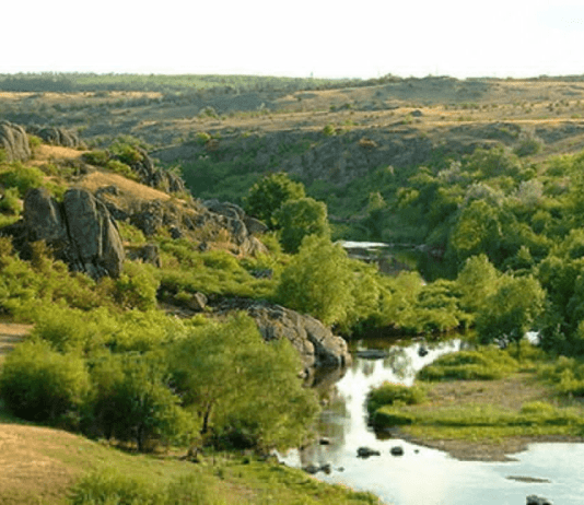 Лесное хозяйство одесского региона
