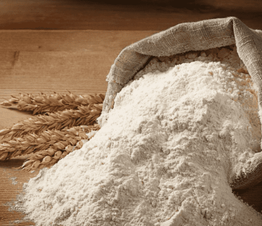 Мукомольное производство Одессы в 1840-1910-х годах