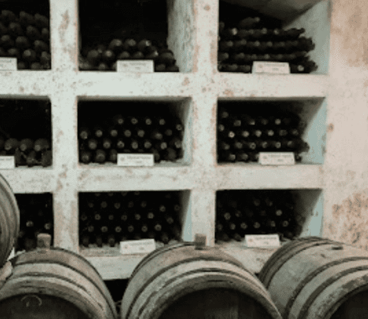 Вклад одесских ученых в виноградарство и в выведение новых сортов культуры