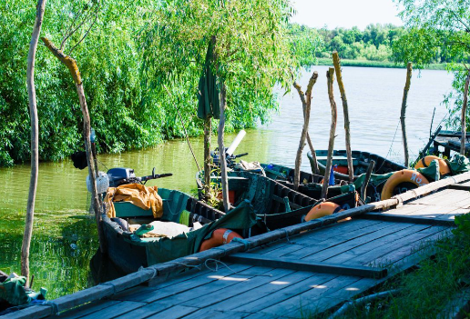 История начала промышленного выращивания рыбы в одесском регионе