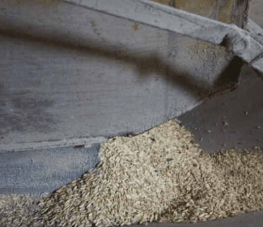 Измаильский элеватор: важный дунайский узел транспортировки зерна