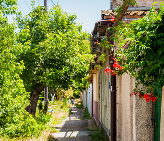 Одесская мельница, которая кормила мукой Грецию
