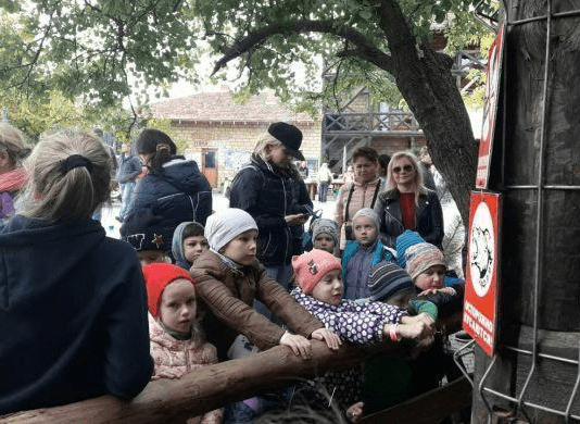 Страусовое пространство “Нью-Васюки”