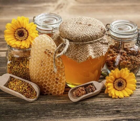 Инновации одесских пасечников