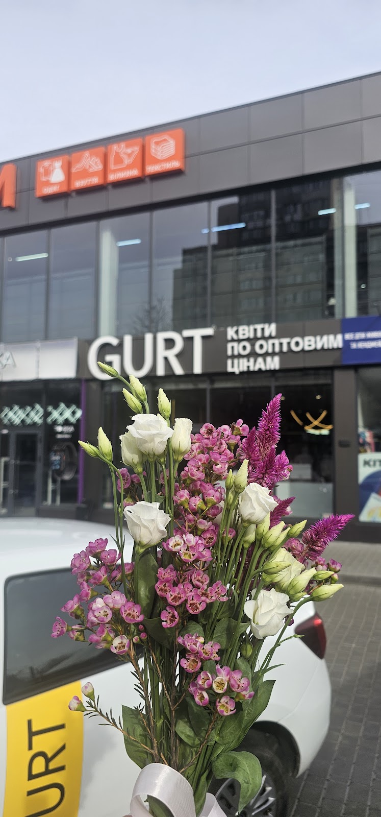 Gurt — Florist